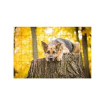 Quebra-Cabeça Inclusivo 300 peças Cachorros que Encantam