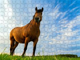 Quebra-Cabeça Inclusivo 300 peças Cavalos de Elite que Encantam e Ensinam