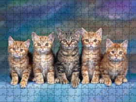 Quebra-Cabeça Inclusivo 300 peças Gatos que Encantam e Ensinam