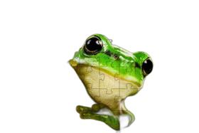 Quebra-Cabeça Micro Sapo Verde De 300 Peças Em Mdf