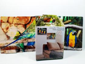 Quebra-Cabeça Pássaros Cognitivo Reabilitação para Idosos - Aves