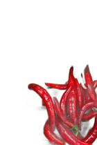 Quebra-Cabeça Pimentas Vermelha E Verde De 120 Peças Em Mdf Quebra-Cabeça Pimentas Vermelha E Verde De 120 Peças Em Mdf