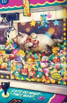 Quebra-cabeça Pintoo Phoenix Chan Daily Life 600 peças