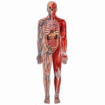 Quebra-Cabeca - Play - Gigante - Corpo Humano com Realidade Aumentada