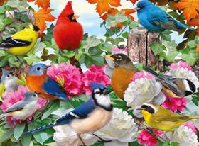 Quebra-cabeça Ravensburger Garden Birds 500 peças Quebra-cabeça Ravensburger Garden Birds 500 peças