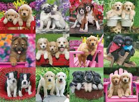 Quebra-cabeça Ravensburger Puppy Pals de 500 peças para adultos