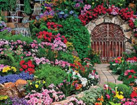 Quebra-cabeça Springbok Wine Cellar 500 peças