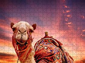 Quebra-Cabeças Animais Do Deserto Camelos 300 Peças Em Mdf