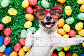 Quebra-Cabeças Cachorro de Óculos de 60 peças Educativo e Inteligente