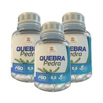 Quebra Pedra - 60 Cáps 500Mg Kit Com 3