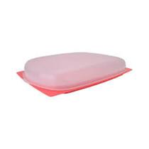 Queijeira retangular baixa da tupperware
