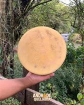 Queijo Alagoa Artesanal Curado 6 Meses Peça Inteira 4,5kg