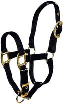 Queixo ajustável de nylon 3/4 Horse Halter Hamilton para potro