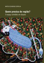 Quem precisa de regiao o espaco (dividido) em disputa - CONSEQUENCIA Quem precisa de regiao o espaco (dividido) em disputa - CONSEQUENCIA