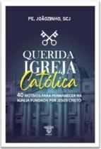 Querida igreja católica - 40 motivos para permanecer na igreja fundada por Jesus Cristo Querida igreja católica - 40 motivos para permanecer na igreja fundada por Jesus Cristo
