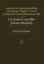 Questões da Constitucionalidade das Patentes, A Sortido
