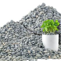 Quibbay 20 kg de seixos de praia mexicanos cinzentos naturais 1-2,5 cm Quibbay 20 kg de seixos de praia mexicanos cinzentos naturais 1-2,5 cm
