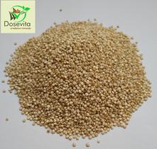 Quinoa branca em grãos, com 500g.