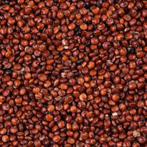 Quinoa Vermelha em Grãos - 1kg - N4 NATURAL