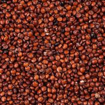Quinoa Vermelha em Grãos - 500g - N4 NATURAL