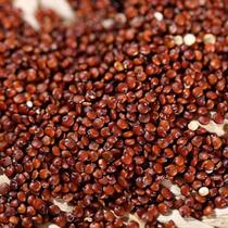 Quinoa vermelha grão 250g - LONDRINUTRI PRODUTOS NATURAIS