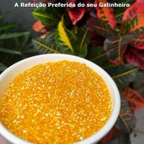 Quirela de Milho 1kg Média Moagem Ração para Aves e Porcos Animais Galinhas Patos Galos Nutritivo