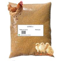 Quirera De Milho canjiquinha Fina Para Pássaros -1,3 e 5Kg Aves