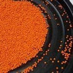 Ração Extrusada com Óleo de Salmão Alta Proteína Vitaminas e Minerais 3 kg Ração Extrusada com Óleo de Salmão Alta Proteína Vitaminas e Minerais 3 kg