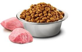 Ração Farmina N&d Prime Cães ad pp Coriro e Blueberry 10,1kg Ração Farmina N&d Prime Cães ad pp Coriro e Blueberry 10,1kg