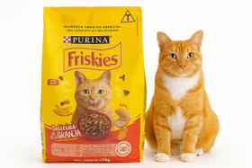 Ração Gato Adulto Purina Friskies Delícias da Granja 1kg