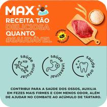 Ração Max para Cães Adultos Raças Pequenas Sabor Carne e Arroz 10,1 KG