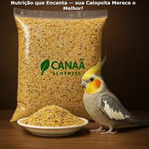 Ração Mistura Para Calopsita Periquito Agapone Gourmet 10kg Animais Vitamina Nutrição Energia