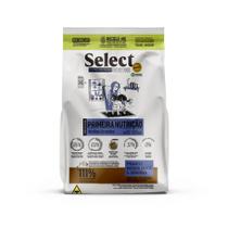 Ração Monello Select Primeira Nutrição para Cães Filhotes Raças Médias e Grandes 15Kg Ração Monello Select Primeira Nutrição para Cães Filhotes Raças Médias e Grandes 15Kg