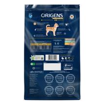 Ração Origens Premium Especial para Cães Sênior Portes Mini e Pequeno Sabor Frango e Cereais 1 kg Ração Origens Premium Especial para Cães Sênior Portes Mini e Pequeno Sabor Frango e Cereais 1 kg