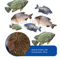 Ração P/ Carpas, Tilapias E Outros Grande Porte (10mm) 15kg Ração P/ Carpas, Tilapias E Outros Grande Porte (10mm) 15kg