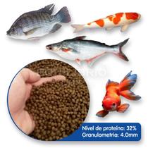 Ração Para Carpas E Outros Peixes De Grande Porte - 10 Kg - Equilíbrio Aquarismo