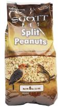 Ração para Pássaros Scott Pet - Amendoins Inteiros e Meios (3,63 kg) Ração para Pássaros Scott Pet - Amendoins Inteiros e Meios (3,63 kg)