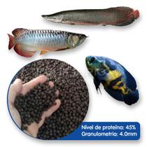 Ração Para Peixes Carnívoros, Pirarucu, Oscar, Aruana E Outros - 5 Kg Ração Para Peixes Carnívoros, Pirarucu, Oscar, Aruana E Outros - 5 Kg