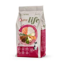 Ração Quatree Life Gatos Adultos Salmão e Arroz 1Kg