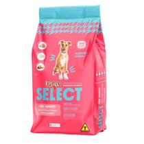Ração Quatree Select Cães Adultos Raças Médias e Grandes Frango e Arroz 20kg Ração Quatree Select Cães Adultos Raças Médias e Grandes Frango e Arroz 20kg