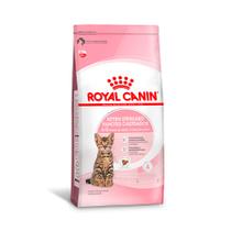 Ração Royal Canin Filhotes Castrados para Gatos de 6 a 12 meses 1,5 kg