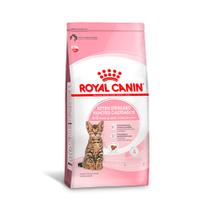 Ração Royal Canin Filhotes Castrados para Gatos de 6 a 12 meses 4 kg