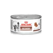 Ração Royal Canin Veterinary Lata Recovery - 195g