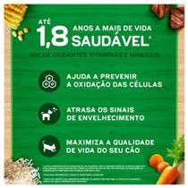 Ração Seca Nestlé Purina Dog Chow Extra Life Cães Adultos Carne, Frango e Arroz Raças Mini e Pequenas - 10,1 Kg