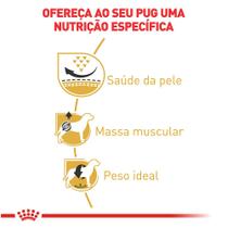 Ração Seca para Cães Adultos da Raça Pug 7,5kg Royal Canin Ração Seca para Cães Adultos da Raça Pug 7,5kg Royal Canin