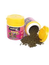 Ração Tartaruga Baby 10G Nutral Ouro com calcio e vitamina C Ração Tartaruga Baby 10G Nutral Ouro com calcio e vitamina C