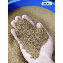 Ração Tartaruga, Jabuti, Répteis e Peixes Adultos e Filhotes - NoBrand Ração Tartaruga, Jabuti, Répteis e Peixes Adultos e Filhotes - NoBrand