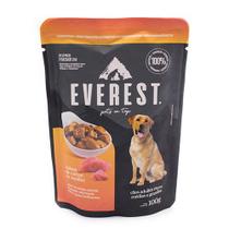 Ração Úmida Everest Sachê Cães Adultos de Porte Médio e Grande sabor Carne 100g