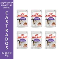Ração Úmida Royal Canin KIT com opções de 1x, 2x, 3x, 6x e 12x Sachês Gatos Castrados 85g Controle de Peso e Saúde Urinária