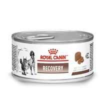 Ração Úmida Royal Canin Lata Veterinary Diet Recovery para Cães e Gatos em Recuperação - 195 g Ração Úmida Royal Canin Lata Veterinary Diet Recovery para Cães e Gatos em Recuperação - 195 g
